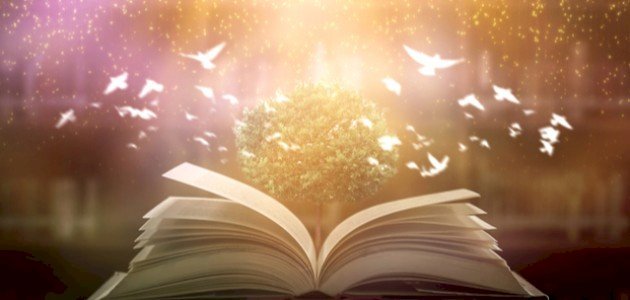 التعلم من التجارب الواقعية